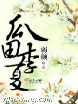 瓜田李夏小说