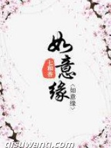 如意缘小说