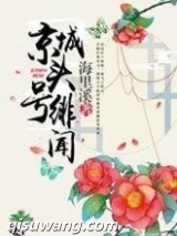 京城头号绯闻小说