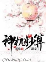 神机妙算（甜宠）小说