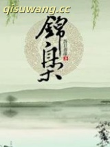 锦枭小说