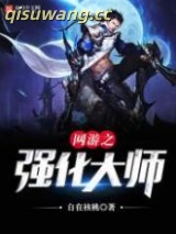 网游之强化大师小说