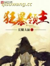 狂暴领主小说