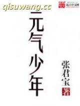 元气少年小说