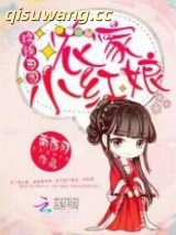 锦绣田园：农家小红娘小说