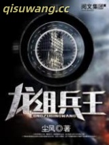 龙组兵王小说