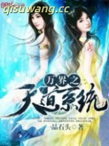 万界之天道系统小说