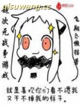 超次元战争游戏小说