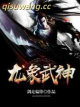 龙象武神小说
