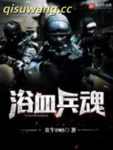 浴血兵魂小说