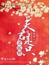 夫君是只老狐狸小说