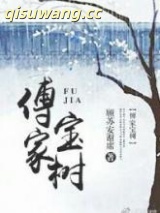 傅家宝树小说