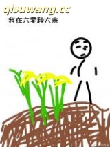 我在六零种大米小说