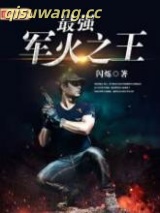 最强军火之王小说