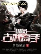 极品古武高手小说