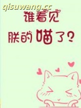 谁看见朕的喵了？小说