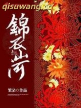 锦衣山河小说