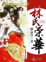 林氏荣华小说