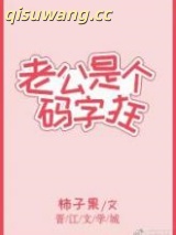 老公是个码字狂小说