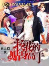 校花的贴身高手小说