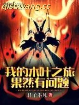我的木叶之旅果然有问题小说