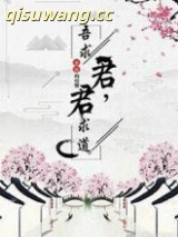 君求道，吾求君小说