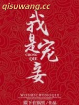 我是宠妾小说