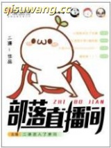 部落直播间小说