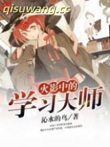火影中的学习大师小说