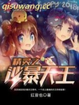 精灵之沙暴天王小说