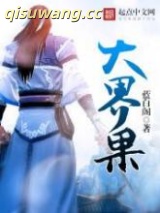 大界果小说