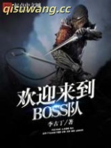 欢迎来到BOSS队小说