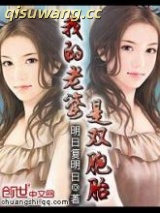 我的老婆是双胞胎小说