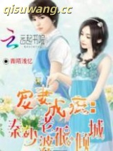 宠妻成瘾：秦少老婆很倾城小说