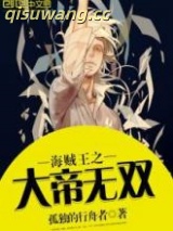 海贼王之大帝无双小说