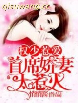 权少惹爱：首席娇妻太惹火小说