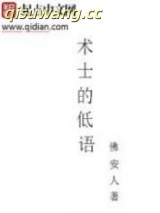 术士的低语小说