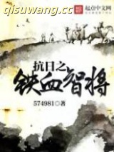 抗日之铁血智将小说