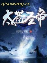 太苍圣帝小说