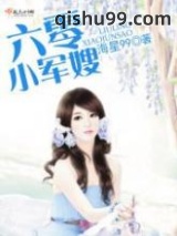 六零小军嫂小说