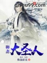 聊斋大圣人小说