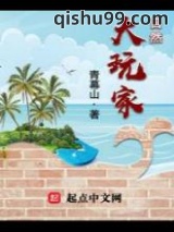 自然大玩家小说