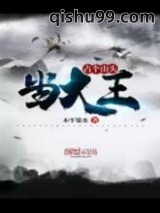 占个山头当大王小说