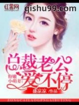 总裁的第一宠妻小说