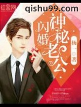 [杨一]闪婚神秘老公小说