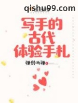 写手的古代体验手札小说