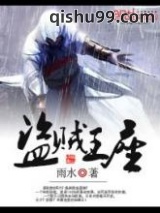 盗贼王座小说