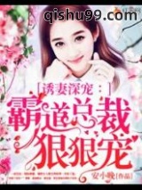 霸道总裁狠狠宠小说