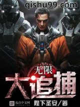 无限大追捕小说