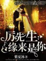 厉先生，缘来是你！小说